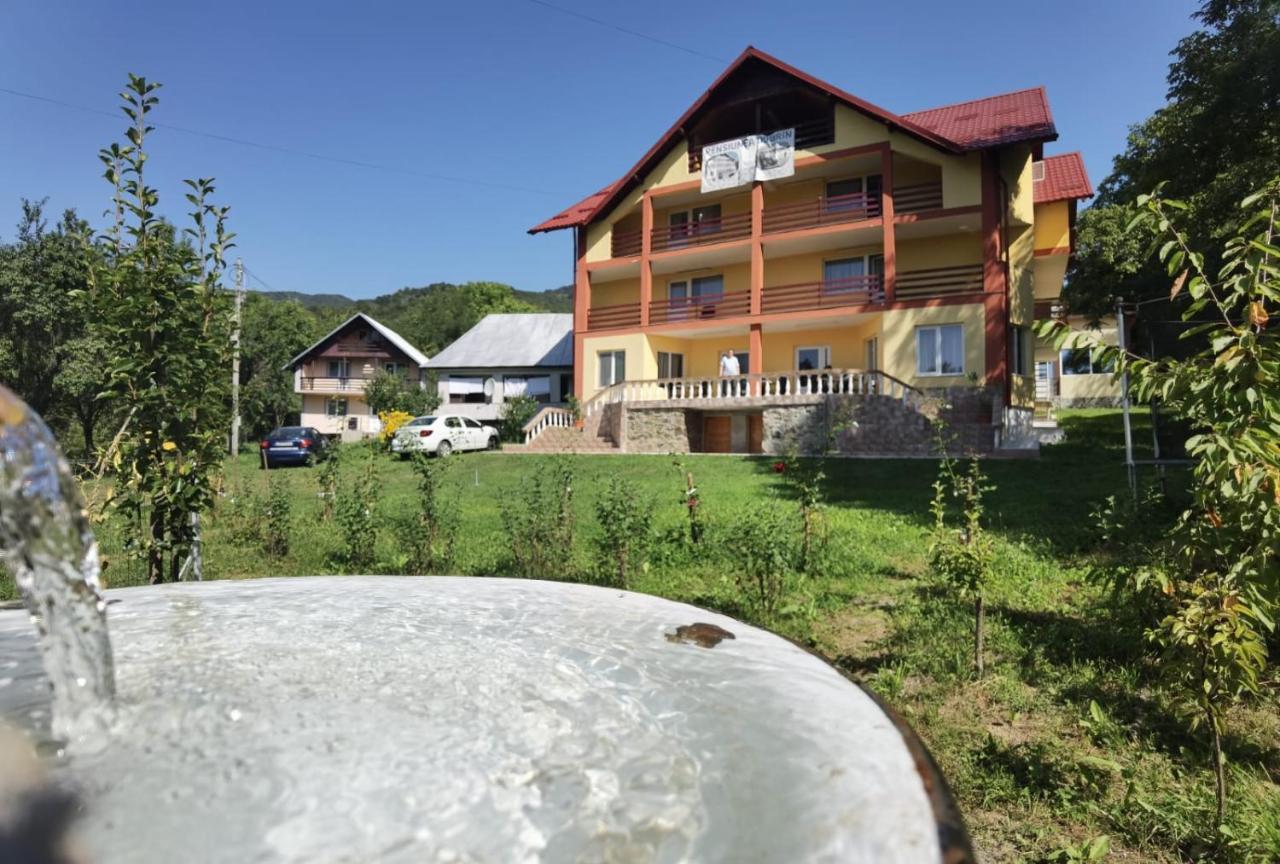 Casa Dobrin Ξενοδοχείο Arefu Εξωτερικό φωτογραφία