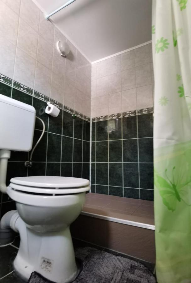 Casa Dobrin Ξενοδοχείο Arefu Εξωτερικό φωτογραφία