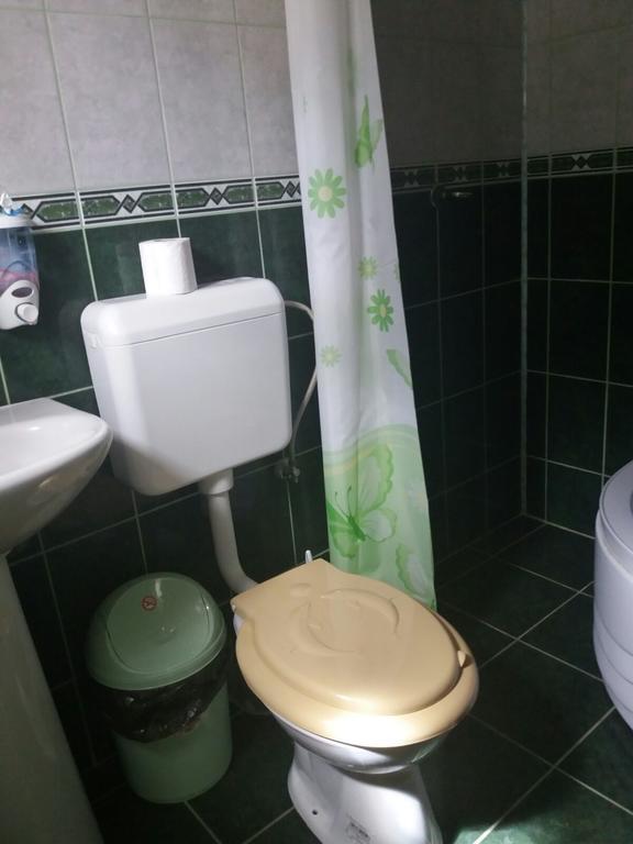 Casa Dobrin Ξενοδοχείο Arefu Εξωτερικό φωτογραφία