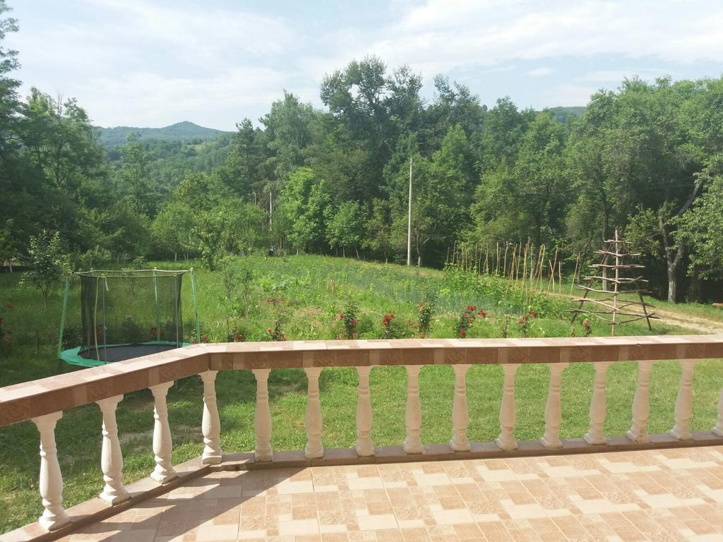 Casa Dobrin Ξενοδοχείο Arefu Εξωτερικό φωτογραφία